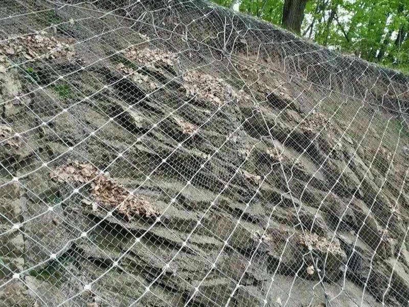 ߅�·��o(h��)�W(w��ng)